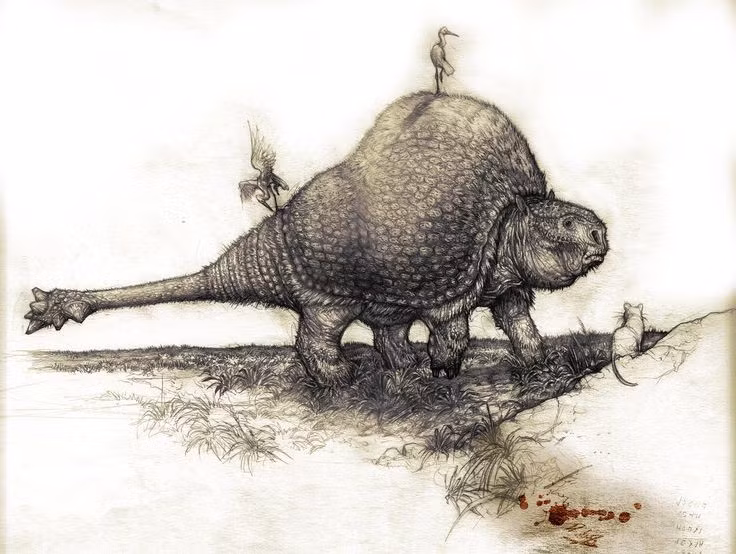  4. Bộ giáp bảo vệ toàn thân. Cơ thể chúng được bao phủ bởi hàng trăm tấm xương nhỏ ghép lại, tạo thành lớp vỏ bảo vệ cực kỳ chắc chắn. Ảnh: Pinterest.