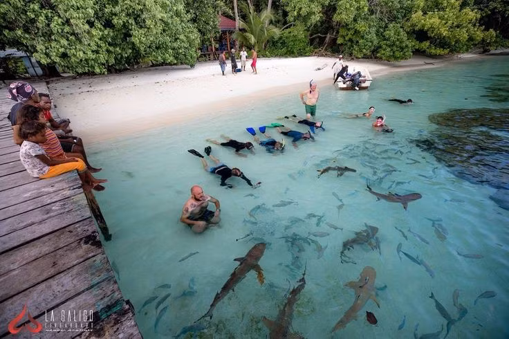  Điểm đến du lịch bền vững. Raja Ampat ngày càng nổi tiếng nhưng vẫn được định hướng phát triển du lịch sinh thái, bảo tồn thiên nhiên song song với khai thác du lịch. Ảnh: Pinterest.