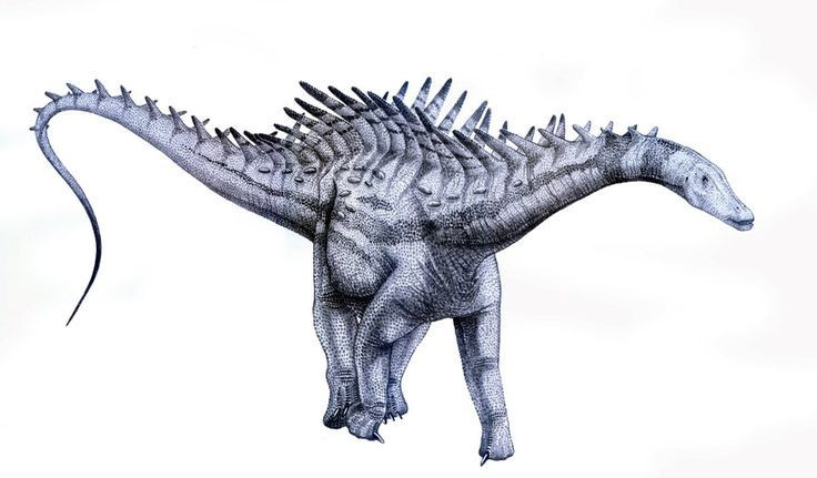  Thuộc nhóm khủng long cổ dài ăn cỏ. Agustinia được xếp vào nhóm sauropod – những loài khủng long có cổ và đuôi dài, bốn chân to khỏe, chuyên ăn thực vật với kích thước cơ thể đồ sộ. Ảnh: Pinterest.
