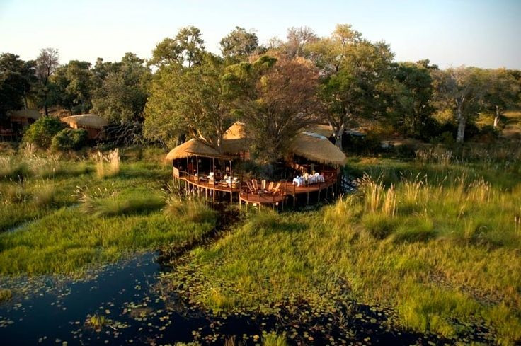  Là biểu tượng du lịch sinh thái châu Phi. Okavango thu hút du khách nhờ trải nghiệm safari thân thiện môi trường và cảnh quan hoang sơ hiếm có. Ảnh: Pinterest.