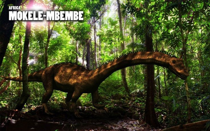  Không có bằng chứng khoa học xác nhận. Tất cả ảnh và video từng công bố về Mokele-mbembe đều thiếu độ tin cậy. Ảnh: Pinterest.