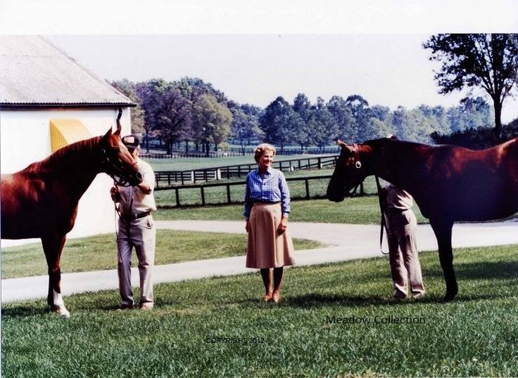  Trí nhớ không gian vượt trội. Ngựa sở hữu trí nhớ không gian rất phát triển, giúp chúng ghi nhớ chính xác đường đi, nguồn nước, bãi cỏ và chuồng trại, ngay cả sau thời gian dài không quay lại khu vực đó. Ảnh: Pinterest.