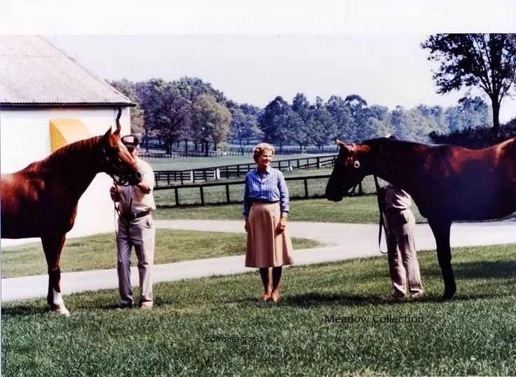  Trí nhớ không gian vượt trội. Ngựa sở hữu trí nhớ không gian rất phát triển, giúp chúng ghi nhớ chính xác đường đi, nguồn nước, bãi cỏ và chuồng trại, ngay cả sau thời gian dài không quay lại khu vực đó. Ảnh: Pinterest.