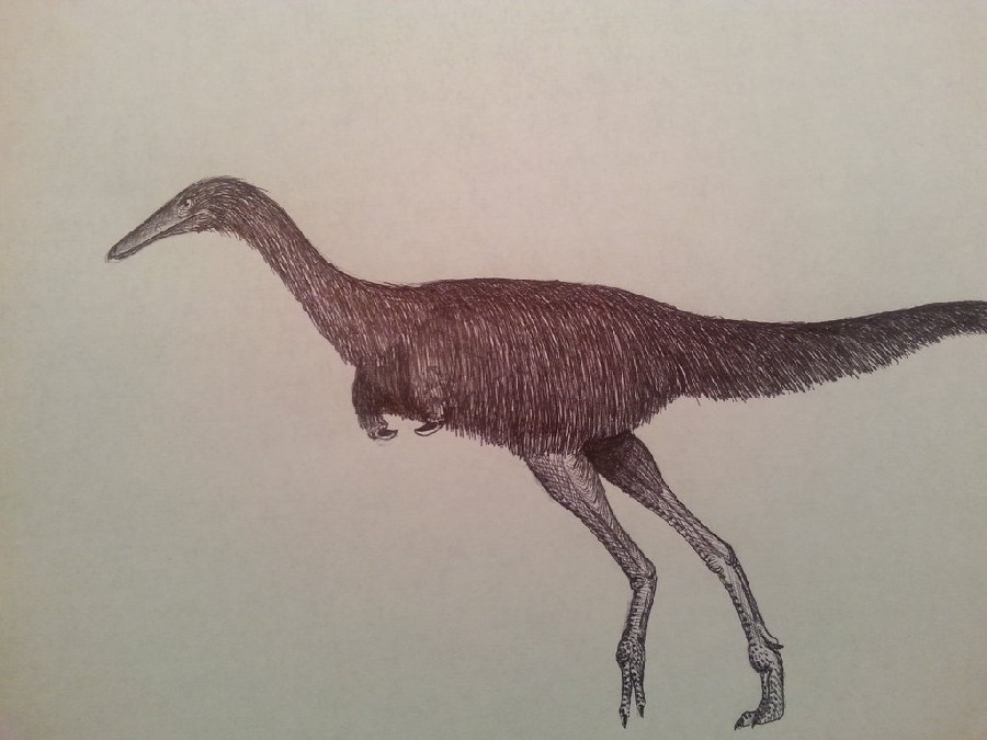  Sống tại vùng sa mạc cổ đại châu Á. Hóa thạch Linhenykus được tìm thấy ở Nội Mông, Trung Quốc, nơi từng là môi trường khô hạn với cồn cát và thảm thực vật thưa thớt. Ảnh: dinosaurpictures.org.