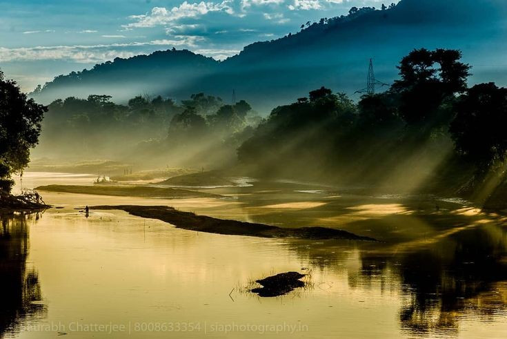 Môi trường sống định hình bởi lũ lụt hằng năm. Các đợt lũ mùa mưa từ sông Brahmaputra vừa gây thách thức vừa mang lại phù sa màu mỡ, duy trì thảm thực vật phong phú và nguồn thức ăn dồi dào cho động vật. Ảnh: Pinterest.