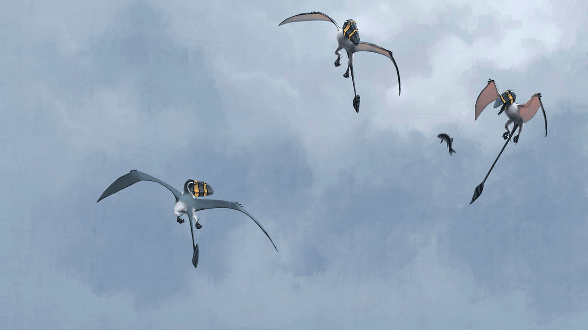 Sống ven biển cổ đại. Chúng được cho là săn mồi dọc các bờ biển, nơi dễ tìm thấy cá và động vật nhỏ. Ảnh: Pinterest.