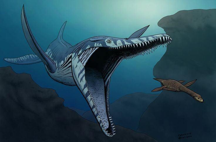 2. Pliosaurus là loài săn mồi đứng đầu chuỗi thức ăn. Với bộ hàm khổng lồ và răng sắc nhọn như lưỡi dao, chúng có thể tấn công và nuốt chửng những con cá lớn, mực khổng lồ hay thậm chí cả các loài bò sát biển khác. Ảnh: Pinterest.