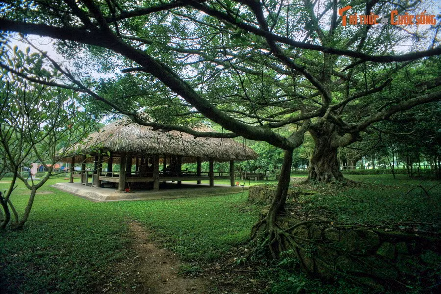 Vào ngày 16/8/1945, trong bầu khí cách mạng hết sức khẩn trương, Quốc dân đại hội do Trung ương Đảng chủ trì đã khai mạc tại đình Tân Trào. Đại hội quy tụ hơn 60 đại biểu từ khắp ba miền Bắc, Trung, Nam và cả kiều bào ở Thái Lan và Lào về tham dự.