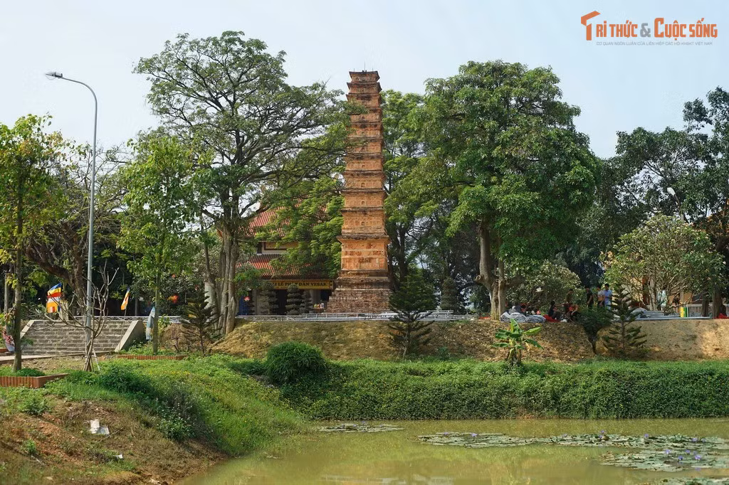 Ngày nay, tháp Bình Sơn là biểu tượng lịch sử – văn hóa quan trọng. Di tích không chỉ có giá trị khảo cổ và kiến trúc mà còn góp phần kể lại câu chuyện về Phật giáo, nghệ thuật và con người Đại Việt thời trung đại.