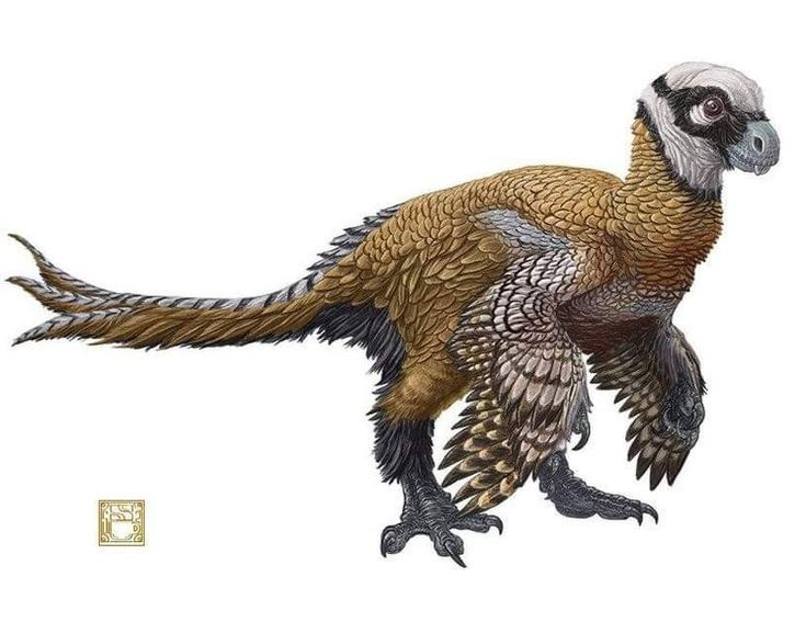  Sở hữu răng cửa nổi bật hiếm thấy. Khủng long Incisivosaurus gây chú ý nhờ cặp răng cửa lớn, dẹt và sắc ở phía trước hàm, khác hẳn kiểu răng nhọn thường gặp ở khủng long ăn thịt, cho thấy chức năng cắt hoặc gặm thức ăn đặc biệt. Ảnh: Pinterest.