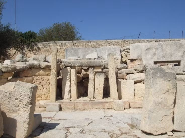  Hóa thạch động vật trong đá. Một số bức tường của đền làm từ đá chứa hóa thạch động vật, điều hiếm có ở các công trình cổ xưa. Ảnh: Pinterest.