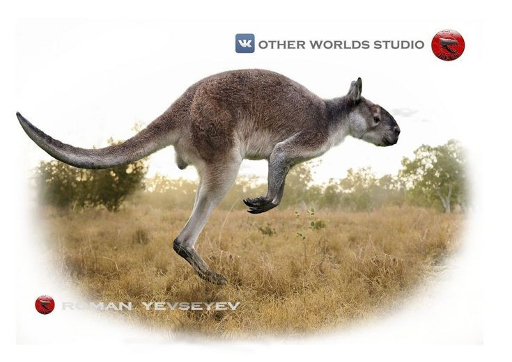 View - Ám ảnh loài chuột túi khổng lồ có khuôn mặt giống người | Báo Tri thức và Cuộc sống - TIN TỨC PHỔ BIẾN KIẾN THỨC 24H