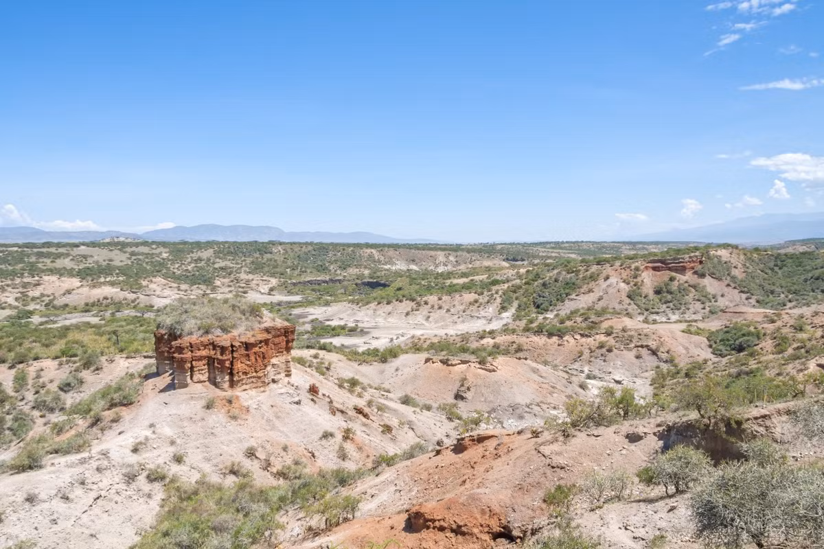  Được bảo tồn nghiêm ngặt. Olduvai là một phần quan trọng của Khu bảo tồn Ngorongoro, một khu bảo tồn lớn của châu Phi. Ảnh: olduvaiproject.org.