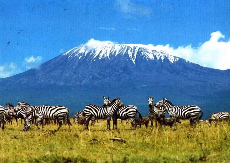  Ngọn núi cao nhất châu Phi. Kilimanjaro cao 5.895 mét so với mực nước biển, trở thành ngọn núi cao nhất lục địa đen. Ảnh: Pinterest.