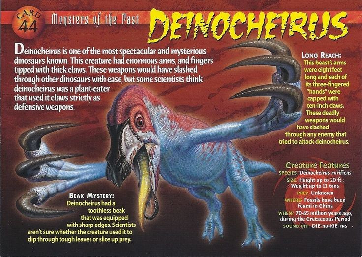  Tên gọi mang ý nghĩa “bàn tay khủng khiếp”. Deinocheirus được đặt tên dựa trên cặp chi trước khổng lồ phát hiện năm 1965 tại sa mạc Gobi, với móng vuốt dài và chắc khỏe. Ảnh: Pinterest.