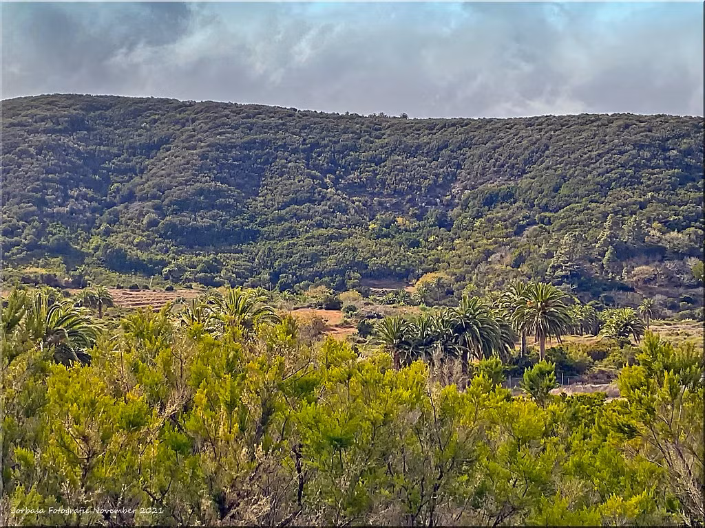  Địa hình núi lửa đặc trưng. La Gomera là đảo núi lửa và Garajonay nằm trên địa hình gồ ghề với các thung lũng sâu, sườn dốc. Sự kết hợp giữa địa hình và khí hậu tạo nên cảnh quan độc đáo, đa dạng. Ảnh: Flickr.