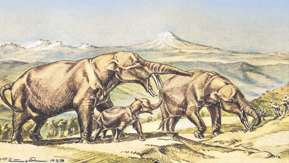  Phân bố gần như toàn cầu. Hóa thạch Gomphothere được tìm thấy ở châu Phi, Âu, Á và cả châu Mỹ, cho thấy chúng từng là một trong những nhóm voi phân bố rộng nhất lịch sử Trái Đất. Ảnh: sci.news.