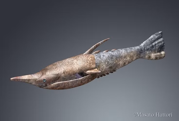  Thuộc nhóm cá không hàm. Chúng thuộc lớp cá giáp không hàm (Agnatha), tức là không có hàm như cá hiện đại mà chỉ có miệng đơn giản để hút thức ăn. Ảnh: Pinterest.