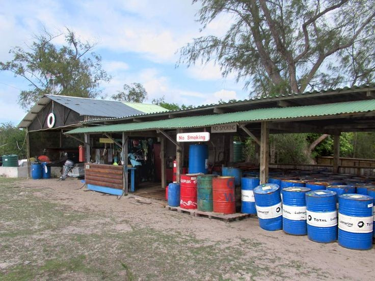  Gần như không có cư dân thường trú. Hòn đảo không có dân cư sinh sống lâu dài, chỉ có các nhà khoa học, nhân viên bảo tồn làm việc luân phiên để nghiên cứu và bảo vệ môi trường. Ảnh: Pinterest.