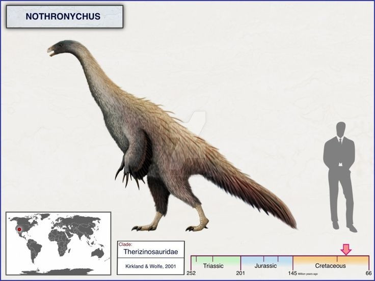  Nothronychus là khủng long ăn cỏ thuộc nhóm therizinosaur. Chúng có dạng cơ thể mập tròn, cổ dài và tay có vuốt lớn. Ảnh: Pinterest.