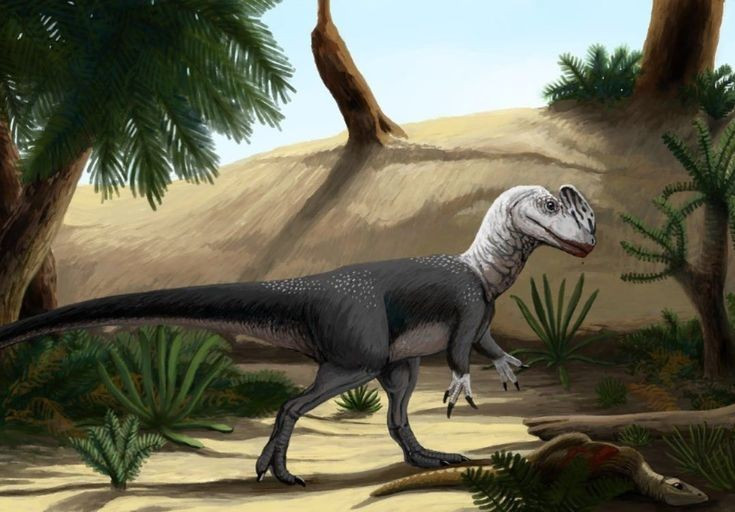  Đóng vai trò then chốt trong nghiên cứu tiến hóa. Việc phát hiện Guanlong đã lấp đầy khoảng trống quan trọng trong sơ đồ tiến hóa, giúp giới khoa học hiểu rõ cách một nhóm khủng long nhỏ phát triển thành những kẻ săn mồi thống trị. Ảnh: Pinterest.