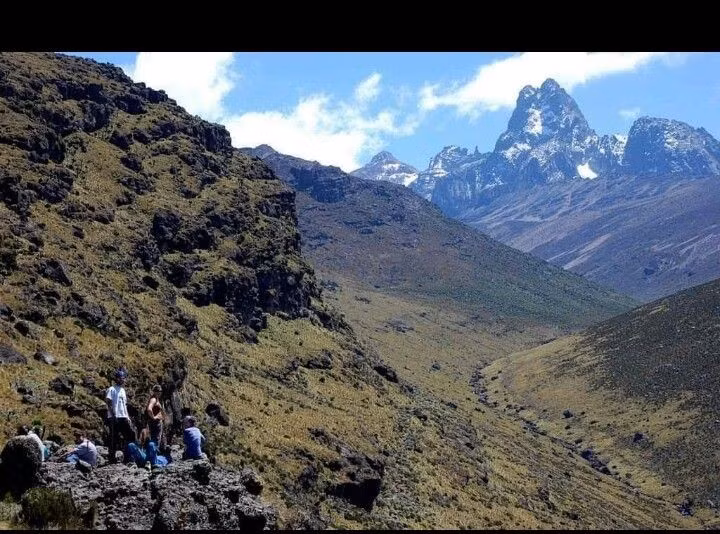  Hệ sinh thái thay đổi rõ rệt theo độ cao. Từ rừng mưa nhiệt đới ở chân núi, rừng tre, đồng cỏ núi cao cho đến vùng băng tuyết, mỗi đai cao của Vườn quốc gia Núi Kenya đều sở hữu hệ động thực vật riêng biệt. Ảnh: Pinterest.