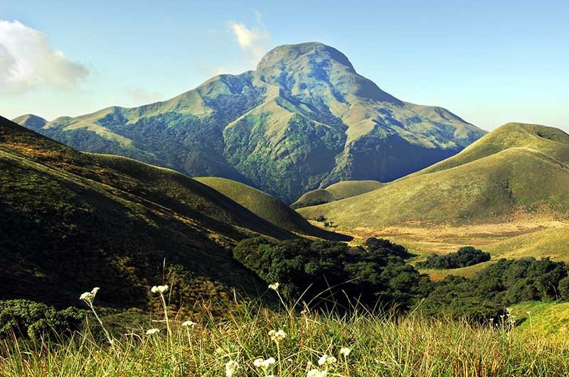  Gắn liền với đỉnh núi cao nhất Nam Ấn. Công viên nằm gần đỉnh Anamudi cao 2.695 mét, ngọn núi cao nhất miền Nam Ấn Độ, tạo nên khí hậu mát mẻ quanh năm hiếm thấy ở vùng nhiệt đới. Ảnh: spicetreemunnar.com.