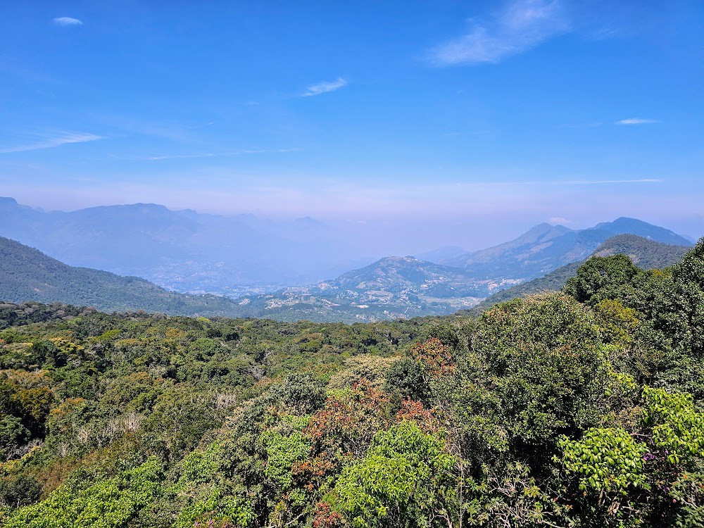  Hệ sinh thái rừng shola độc đáo. “Shola” là kiểu rừng núi cao xen kẽ đồng cỏ, chỉ xuất hiện ở độ cao lớn, nơi cây thấp, tán dày và luôn ẩm ướt, tạo môi trường sống ổn định cho nhiều loài sinh vật cổ xưa. Ảnh: Pinterest.