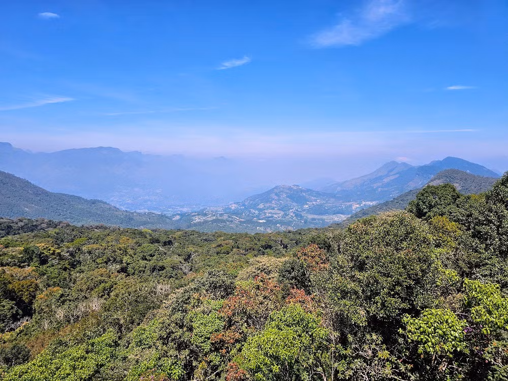  Hệ sinh thái rừng shola độc đáo. “Shola” là kiểu rừng núi cao xen kẽ đồng cỏ, chỉ xuất hiện ở độ cao lớn, nơi cây thấp, tán dày và luôn ẩm ướt, tạo môi trường sống ổn định cho nhiều loài sinh vật cổ xưa. Ảnh: Pinterest.