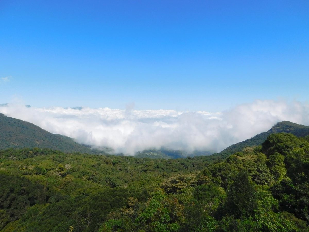  Nằm trong dãy Ghat Tây huyền thoại. Anamudi Shola tọa lạc tại bang Kerala, thuộc dãy Ghat Tây – một trong những trung tâm đa dạng sinh học toàn cầu được UNESCO công nhận, nổi tiếng với nhiều loài đặc hữu. Ảnh: tripadvisor.com.