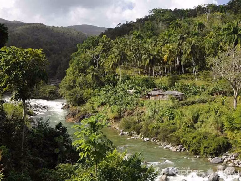  6. Thảm thực vật phong phú. Từ rừng mưa nhiệt đới, rừng thông núi cao cho tới các vùng đất ngập nước, hệ thực vật ở đây vô cùng đa dạng. Ảnh: revistamascuba.com.