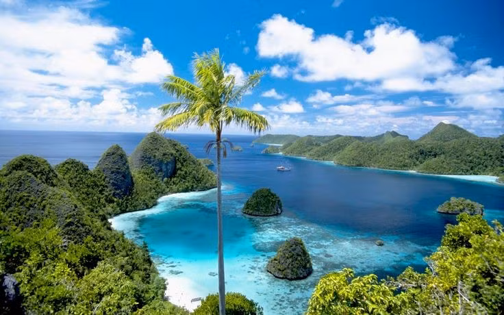  Là một trong những vùng biển đa dạng sinh học nhất hành tinh. Raja Ampat được các nhà khoa học đánh giá là nơi có mức độ đa dạng sinh học biển cao nhất thế giới. Khu vực này ghi nhận hơn 1.600 loài cá, hàng trăm loài san hô cứng và vô số sinh vật biển hiếm gặp khác. Ảnh: Pinterest.