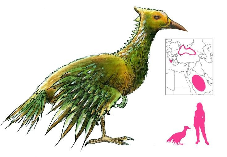  2. Bộ lông và mỏ bằng kim loại. Theo thần thoại, chúng có bộ lông, cánh và mỏ làm từ đồng hoặc sắt, đủ cứng để xuyên thủng giáp và gây sát thương nghiêm trọng. Ảnh: Pinterest.