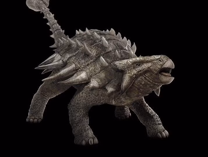  5. Hộp sọ của nó cực kỳ dày và cứng. Hộp sọ có nhiều tấm giáp bao quanh và rất chắc chắn, bảo vệ tốt cả phần đầu vốn là điểm yếu ở nhiều loài. Ảnh: Pinterest.