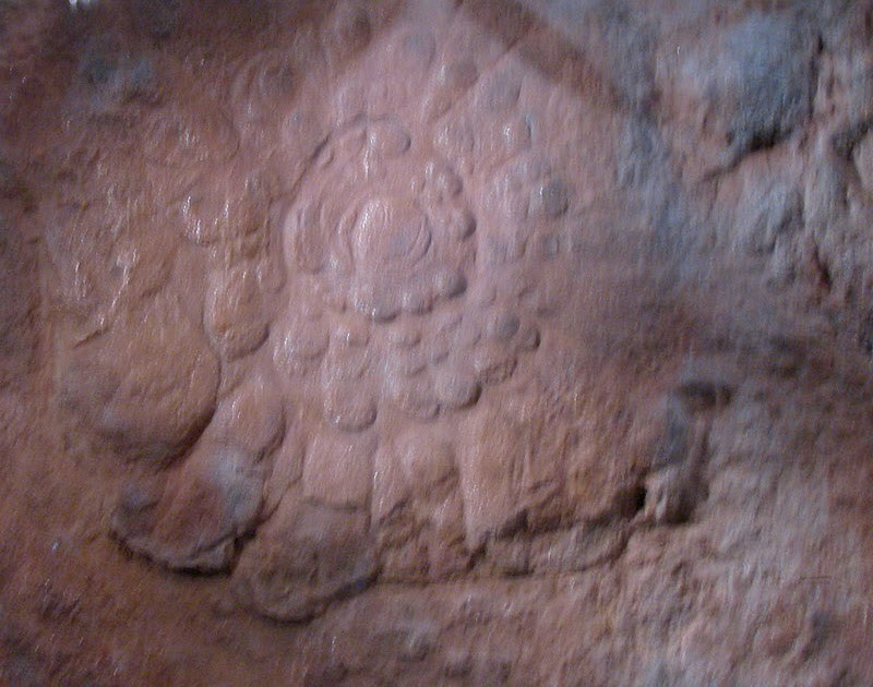  Niên đại từ kỷ Tiền Cambri. Các mẫu Mawsonites có tuổi đời hơn 540 triệu năm, thuộc giai đoạn đầu của sự sống đa bào trên Trái đất. Ảnh: Pinterest.