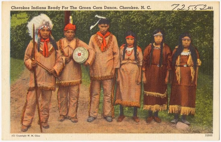  Họ bị ép di dời trong “Con đường nước mắt”. Cuộc di cư cưỡng bức khiến hàng nghìn người Cherokee thiệt mạng. Ảnh: Pinterest.