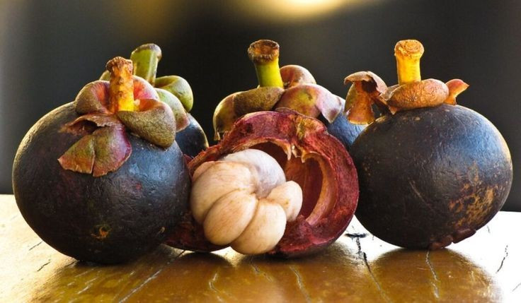  Vỏ măng cụt từng được dùng trong y học dân gian. Ở nhiều nơi tại Đông Nam Á, vỏ măng cụt được sử dụng trong các bài thuốc truyền thống. Người ta cho rằng vỏ chứa nhiều hợp chất tự nhiên như xanthone, có đặc tính chống oxy hóa và kháng khuẩn. Tuy nhiên, các ứng dụng y học hiện đại vẫn cần nhiều nghiên cứu khoa học hơn để xác nhận. Ảnh: Pinterest.