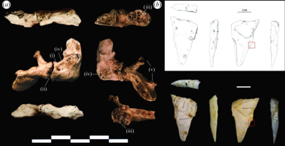 View - Bộ xương 12.000 năm tuổi ở Tràng An gây chấn động giới khảo cổ học | Báo Tri thức và Cuộc sống - TIN TỨC PHỔ BIẾN KIẾN THỨC 24H