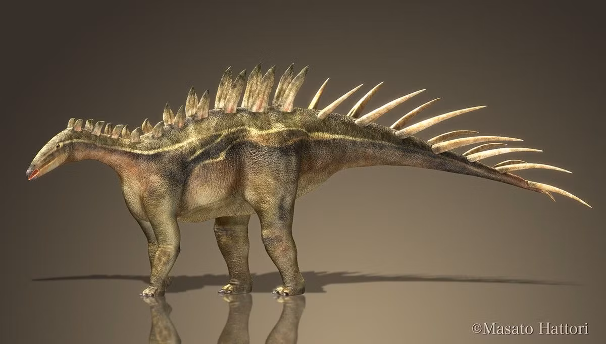  Là một trong những loài khủng long gai đầu tiên được mô tả khoa học. Dacentrurus được phát hiện ở châu Âu và mô tả từ thế kỷ 19, sớm hơn nhiều họ hàng nổi tiếng Stegosaurus. Ảnh: Pinterest.