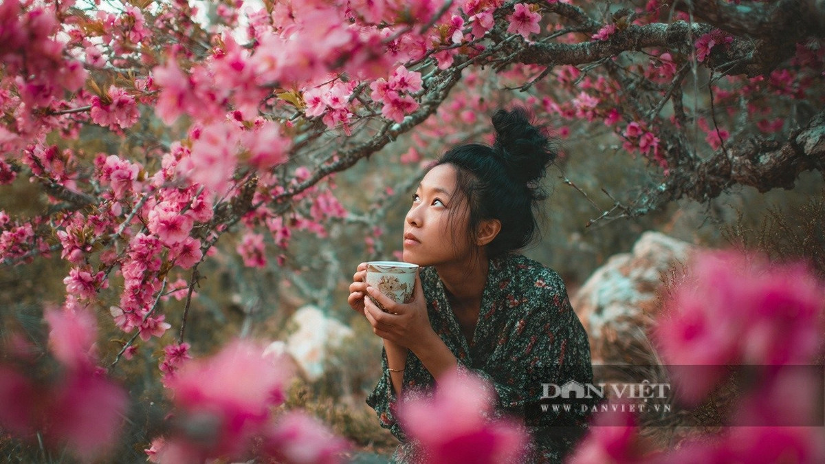 Vào nửa sau cuộc đời, những người có ngày sinh Âm lịch tận cùng bằng số 6 cuối cùng sẽ bước vào mùa thu hoạch.