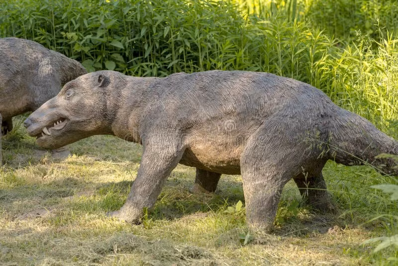  Hộp sọ phát triển. Cấu trúc hộp sọ của Cynognathus cho thấy não bộ có thể đã phát triển hơn so với nhiều loài bò sát cổ đại khác. Ảnh: dreamstime.com.