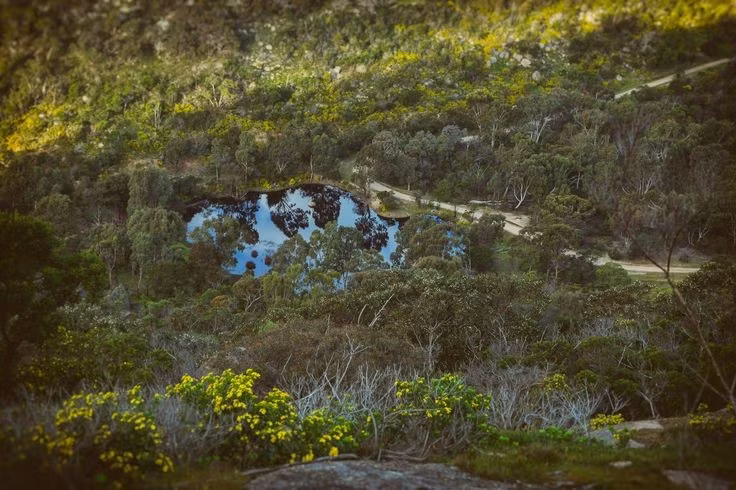  Hệ thống nuôi lươn cổ xưa. Người Gunditjmara đã xây dựng mạng lưới kênh, đập đá và ao để dẫn nước và kiểm soát dòng chảy nhằm nuôi và bẫy lươn. Đây được xem là một trong những hệ thống nuôi trồng thủy sản lâu đời nhất thế giới, cho thấy trình độ quản lý tài nguyên rất cao của cộng đồng bản địa. Ảnh: Pinterest.