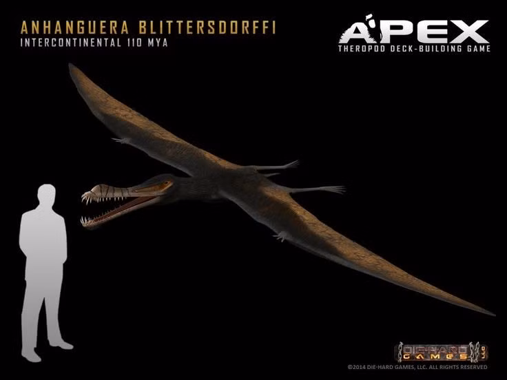  Sải cánh lớn giúp bay xa trên biển. Anhanguera có sải cánh khoảng 4–4,5 mét, đủ lớn để bay lượn trên các vùng biển cổ đại. Với đôi cánh màng da kéo dài từ thân đến các ngón tay dài, chúng có thể tận dụng gió biển để bay xa mà không tốn quá nhiều năng lượng. Ảnh: Pinterest.