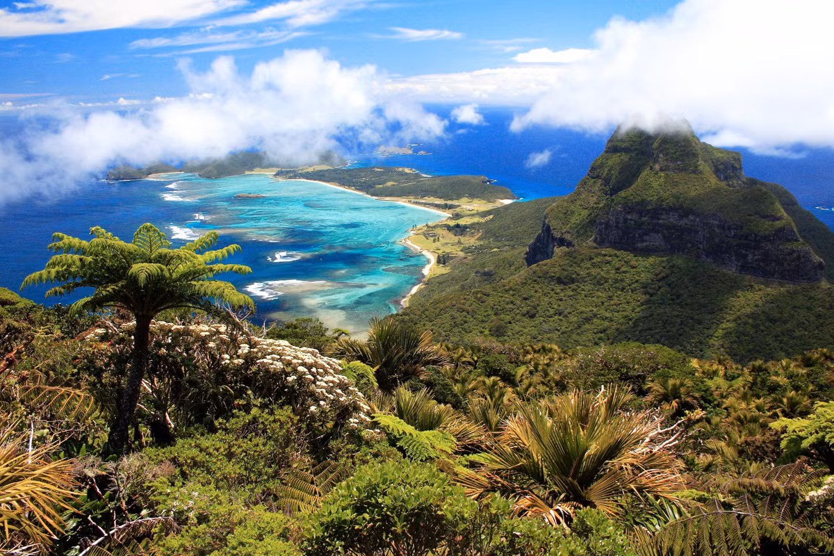  Không có rắn tự nhiên. Quần đảo Lord Howe là một trong số ít nơi trên thế giới hoàn toàn không có rắn. Ảnh: Pinterest.