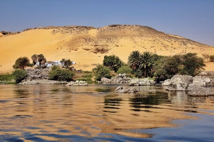  7. Hệ sinh thái sông Nile rất đa dạng. Sông Nile là nơi cư trú của hàng trăm loài động thực vật, trong đó có cá sấu sông Nile khét tiếng, hà mã, cò thìa và nhiều loài thủy sinh bản địa quý hiếm. Ảnh: Pinterest.