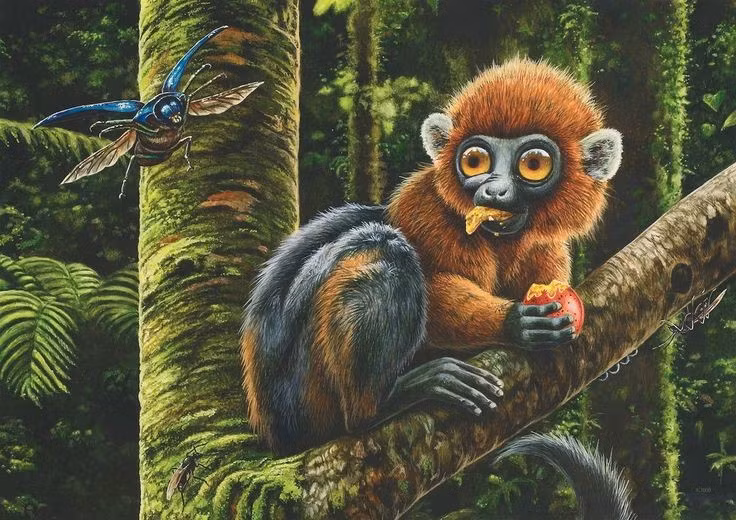  Darwinius sống cách đây khoảng 47 triệu năm. Loài linh trưởng cổ này xuất hiện vào kỷ Eocen, thời kỳ Trái Đất ấm áp với rừng rậm bao phủ phần lớn châu Âu và Bắc Mỹ. Ảnh: Pinterest.