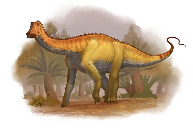  Nigersaurus là khủng long chân thằn lằn thuộc nhóm sauropod. Dù cùng họ với những “người khổng lồ” cổ dài như Brachiosaurus, Nigersaurus lại có kích thước khiêm tốn hơn nhiều. Ảnh: Pinterest.