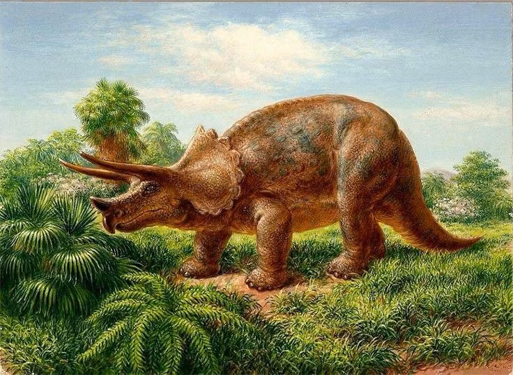  3. Có kích thước vô cùng ấn tượng. Loài này dài khoảng 9 mét, cao gần 3 mét và nặng đến 12 tấn – tương đương với một chiếc xe buýt hai tầng hiện đại. Ảnh: Pinterest.