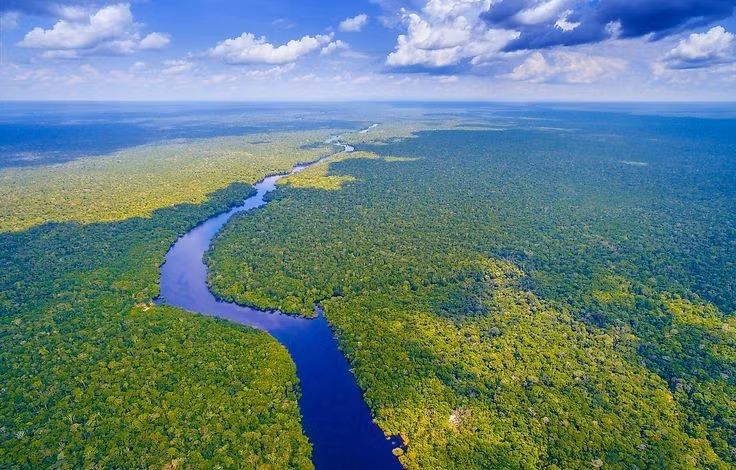  4. Chảy qua nhiều quốc gia Nam Mỹ. Sông Amazon bắt nguồn từ dãy Andes ở Peru, chảy qua Colombia và phần lớn lãnh thổ Brazil trước khi đổ ra Đại Tây Dương. Ảnh: Pinterest.