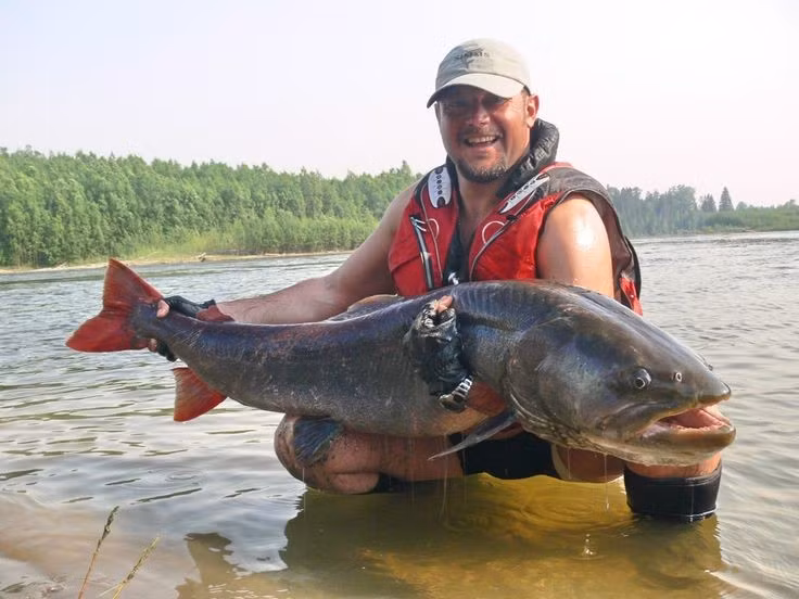  8. Thiên đường cho du lịch mạo hiểm. Ngày nay, Kamchatka trở thành điểm đến hấp dẫn cho du khách ưa thích leo núi, ngắm cảnh núi lửa và trải nghiệm thiên nhiên hoang sơ. Ảnh: Pinterest.